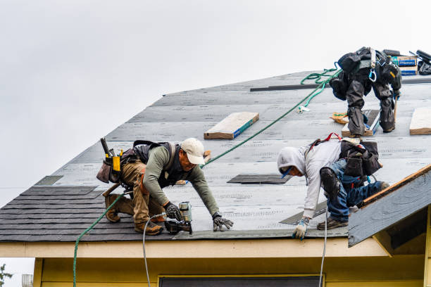 Professional Storm Damage Roof Repair technician working in Walcott, IA